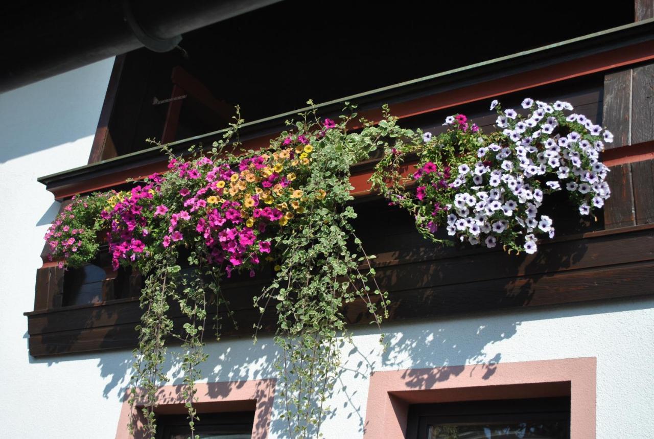 Gaestehaus Katharina Hochfilzen Εξωτερικό φωτογραφία
